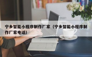 济源宁乡智能小程序制作厂家（宁乡智能小程序制作厂家电话）