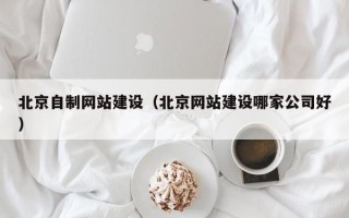 济源北京自制网站建设（北京网站建设哪家公司好）